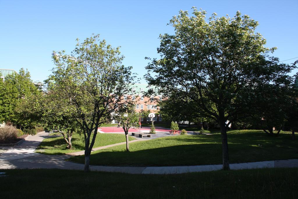 סנט ג'ונס Memorial University מראה חיצוני תמונה