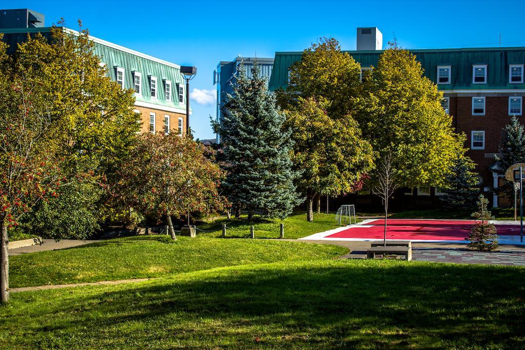 סנט ג'ונס Memorial University מראה חיצוני תמונה