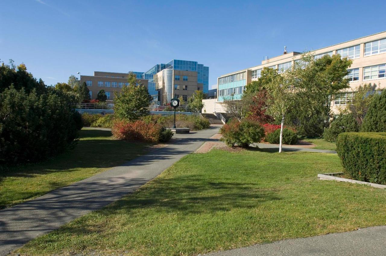 סנט ג'ונס Memorial University מראה חיצוני תמונה
